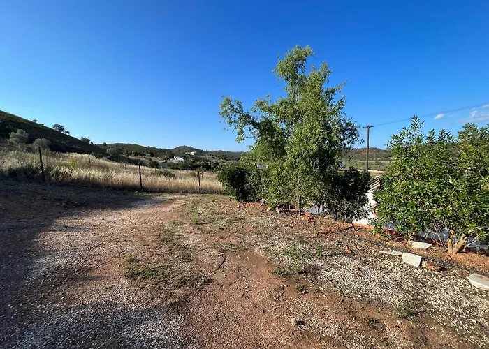 Quinta With Orange And Lemon Trees