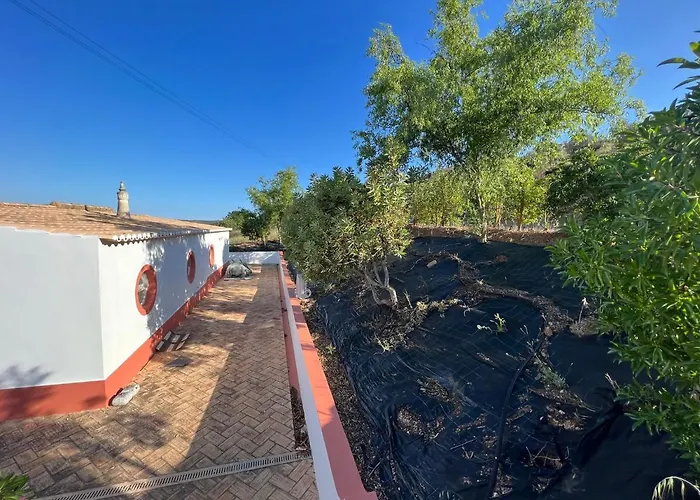 Semesterbostad Quinta With Orange And Lemon Trees *
