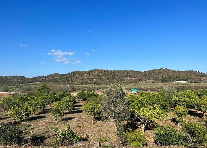 Quinta With Orange And Lemon Trees Semesterbostad *