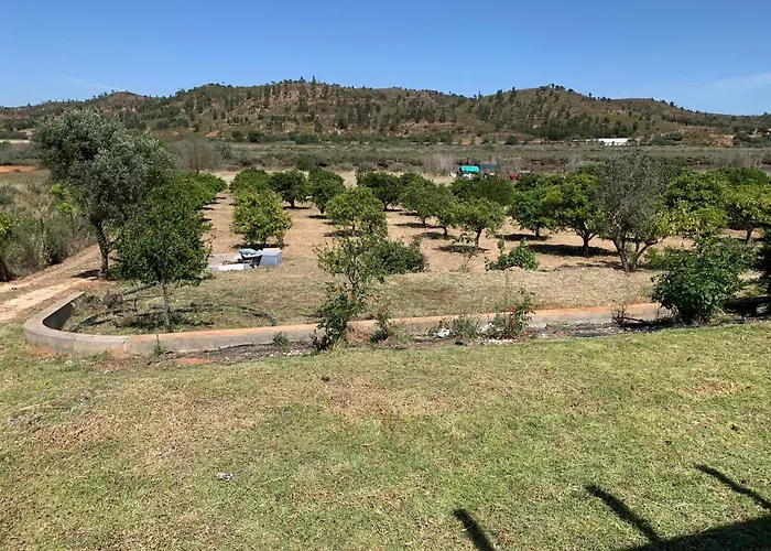 Semesterbostad Quinta With Orange And Lemon Trees