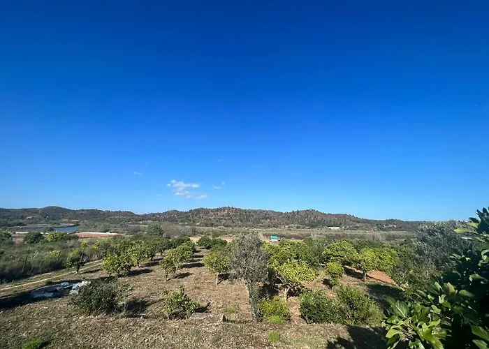 Semesterbostad Quinta With Orange And Lemon Trees