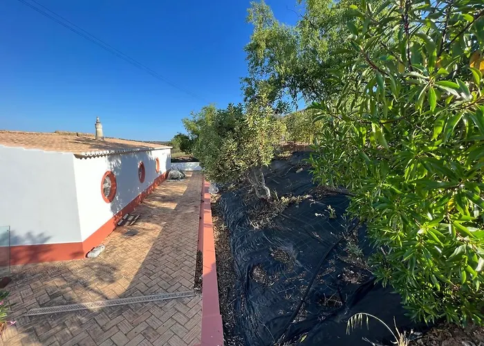 Semesterbostad Quinta With Orange And Lemon Trees